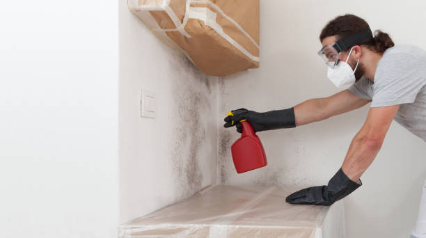 Professional Mold Removal technician working in Pompano Beach, FL